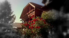 Ferienwohnungen Fischerhaus - direkt am See